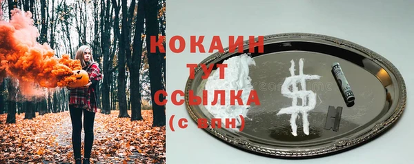 прущая мука Арсеньев