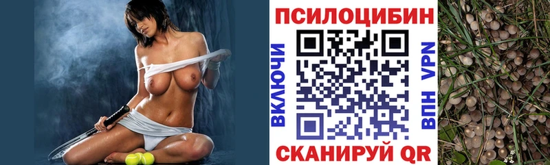 Псилоцибиновые грибы Psilocybe  MEGA зеркало  Урень  купить закладку 
